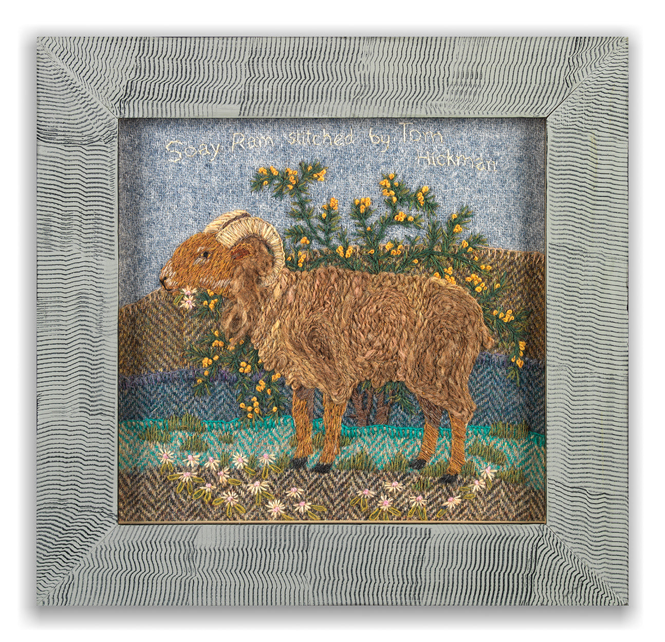 “Soay Ram” before Gorse Bush