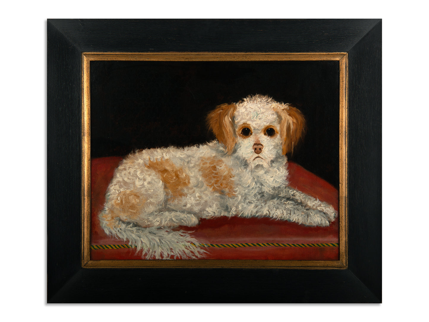 "Brown and White Spaniel Seated on a Red Cushion"