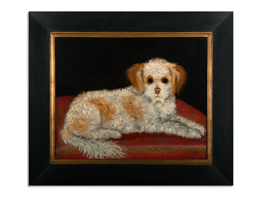 "Brown and White Spaniel Seated on a Red Cushion"