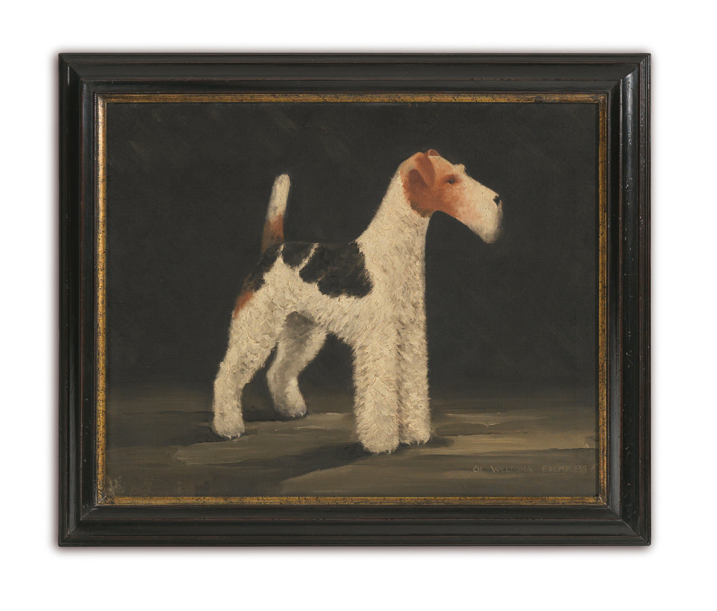 Four Prize Wire Fox Terrier