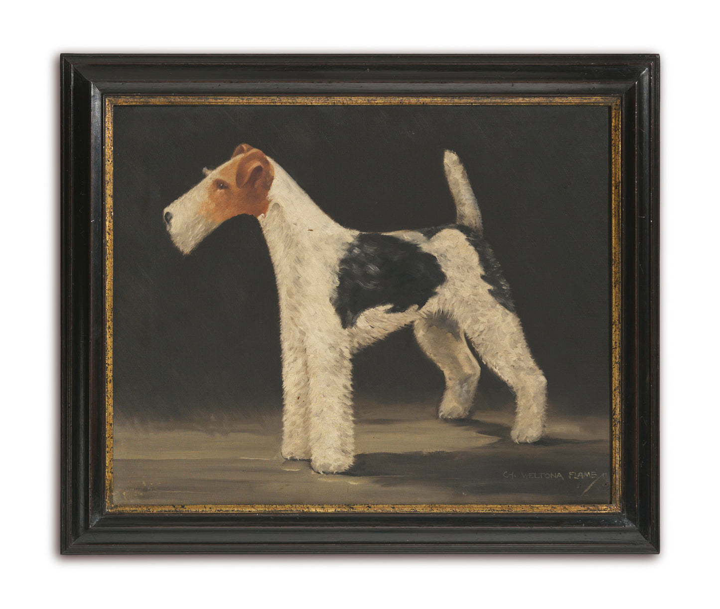 Four Prize Wire Fox Terrier