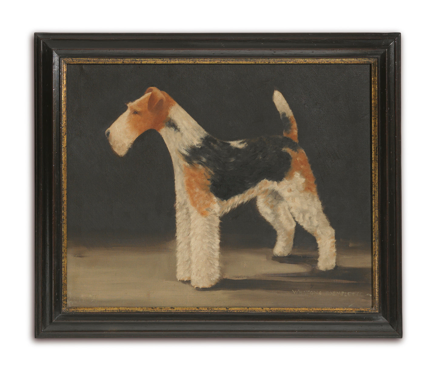 Four Prize Wire Fox Terrier