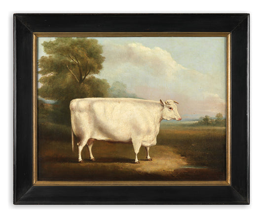 Fine Naïve Livestock Portrait Depicting a Durham Cow