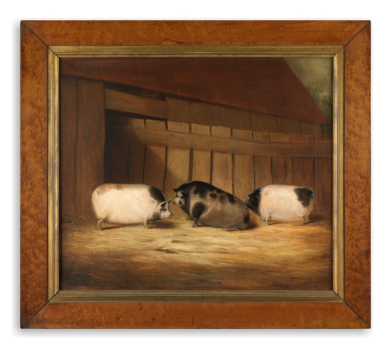 Exceptional Naïve Prize Livestock Portrait of Three Pigs