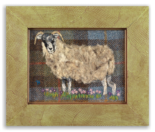 Ewe, Mixed Raw Wool