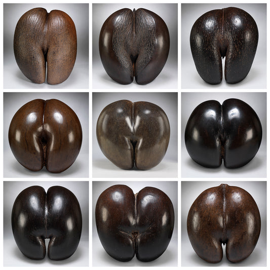 A Collection of Nine Antique Cocos de Mer