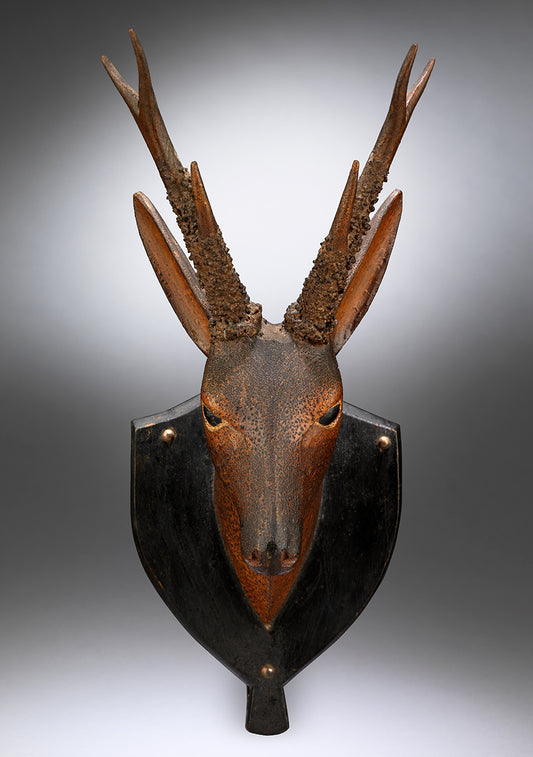 An Elegant Folk Art Roe Deer Hunting Trophy