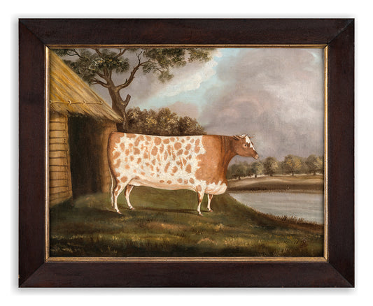 Significant Primitive Prize Livestock Portrait