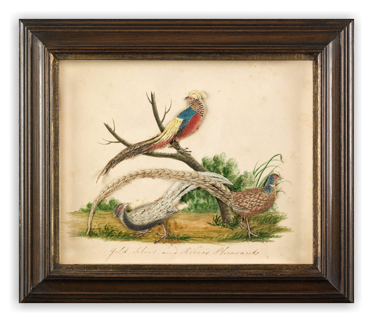 Two Fine Folk Art Bird Pictures