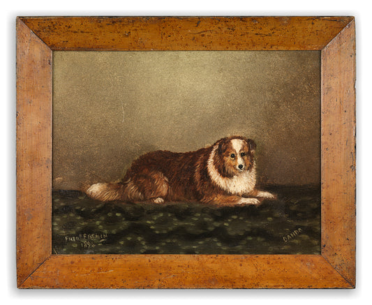 Unusual Naïve Dog Portrait of "Dando"