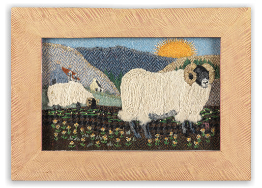 Two Black Face Rams in a Daisy Field