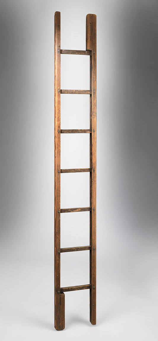 Unusual Vernacular Metamorphic Library Ladder