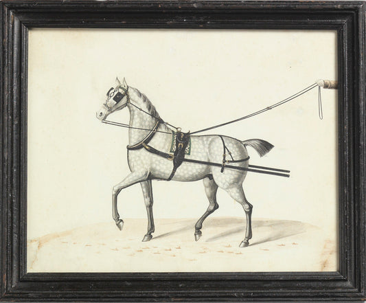 Pair of Carriage Horse Portraits