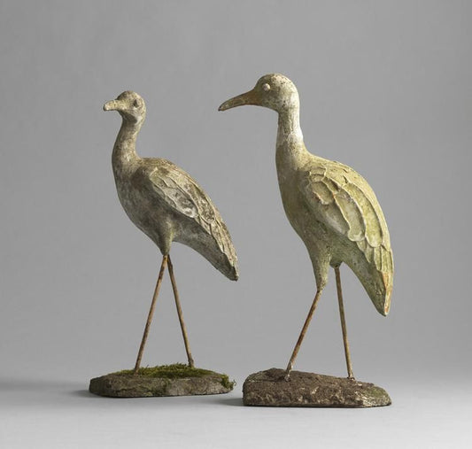 Engaging Pair of Wading Birds