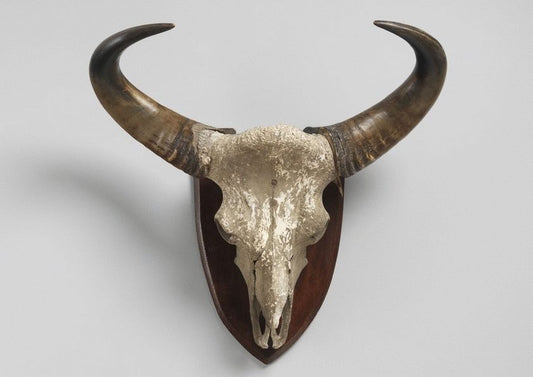 Sculptural Bison Trophy