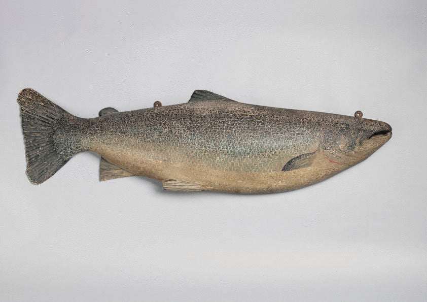 Magnificent Salmon Form Fishing Trophy