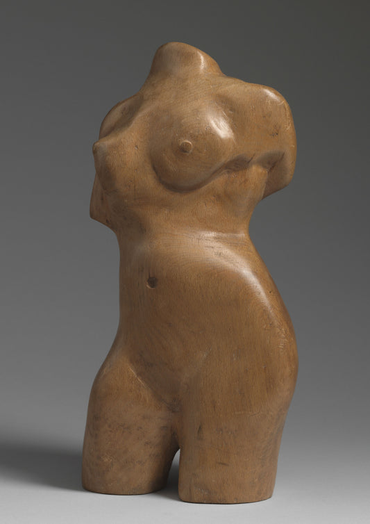 Female Form Torso