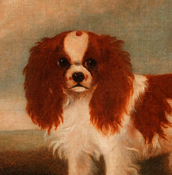 Twin Portraits of King Charles Spaniels