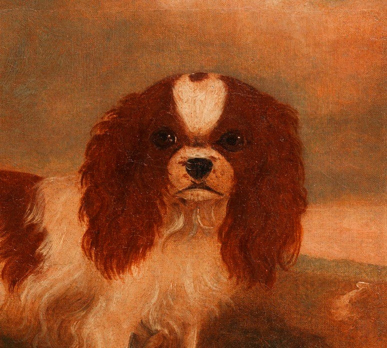 Twin Portraits of King Charles Spaniels