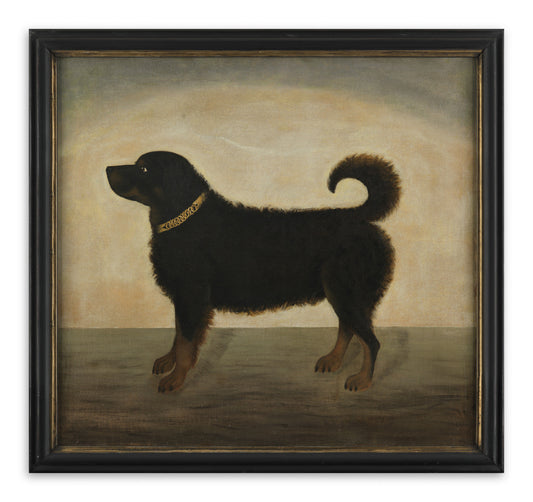 Fine Naive Dog Portrait